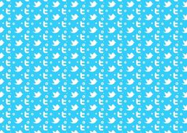 web,website,twitter,tweet,communication,internet,social media,social network,twitter bird,twitter logo,com365psd