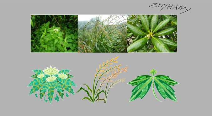 chinese medicine,herbs,plants,com365psd