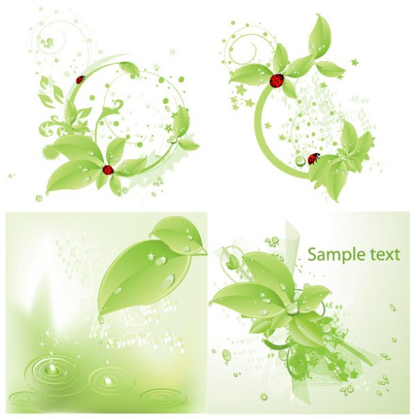 ladybird,green,leaf,material,drops,com365psd