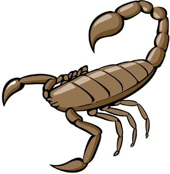 scorpion,com365psd