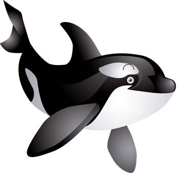 killer,whale,com365psd
