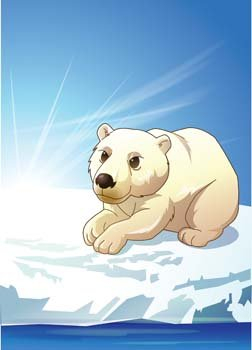 polar,bear,com365psd