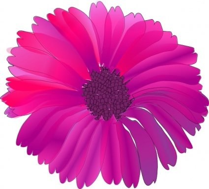 pink,flower,clip,com365psd