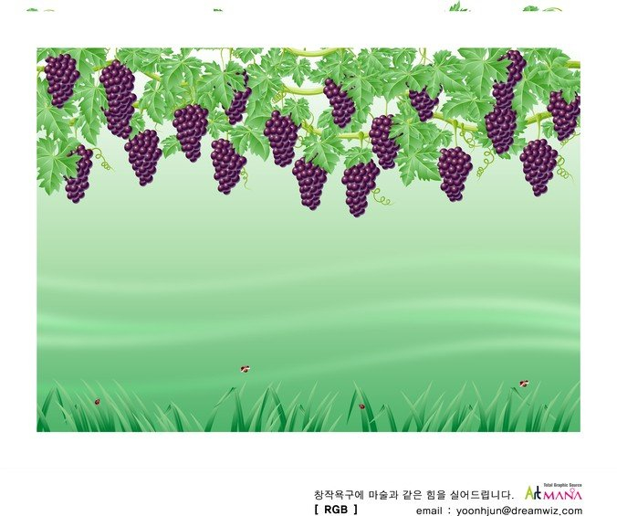 grapes,vines,com365psd