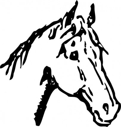 horse,head,clip,com365psd
