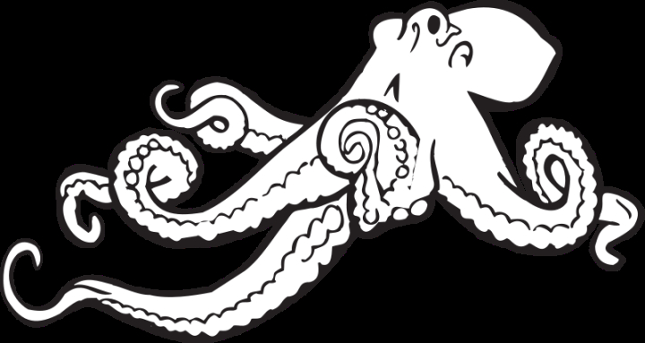 animal,coloring book,contour,line art,octopus,sea creature,com365psd
