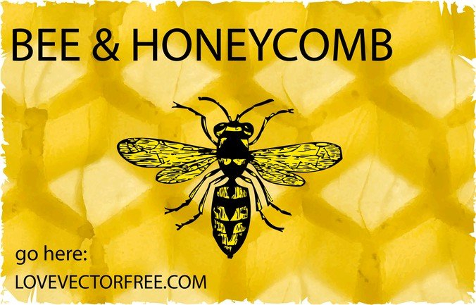 bee,bug,buzz,comb,fly,honey,hornet,sting,stinger,summer,com365psd