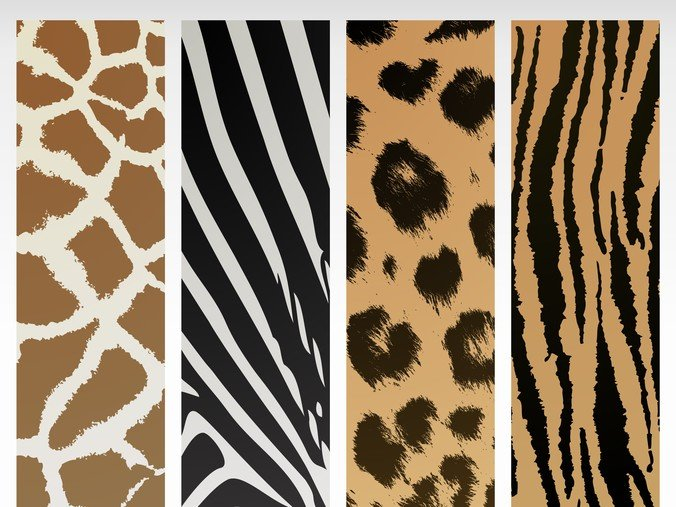 leopard,scenic spots,shading,texture,throat fur material,yu wen,zebra,com365psd