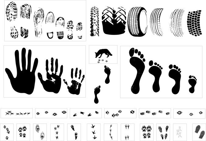 fingerprints,footprints,foxes,hand fruit,shoe prints,silhouette,throat thing footprints,traces of round cells,com365psd
