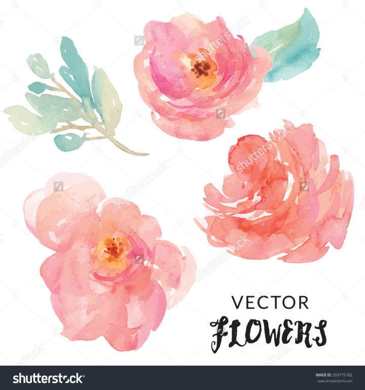 flower,flowers,watercolor,hand,vector,painted,free download,png,comdlpng