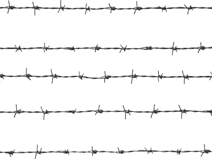 barbed,transparent,pluspng,wire,free download,png,comdlpng