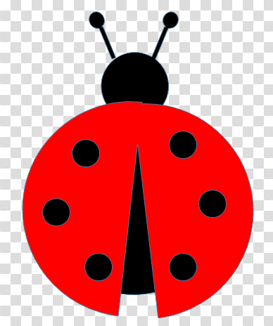 ladybug,free download,png,comdlpng