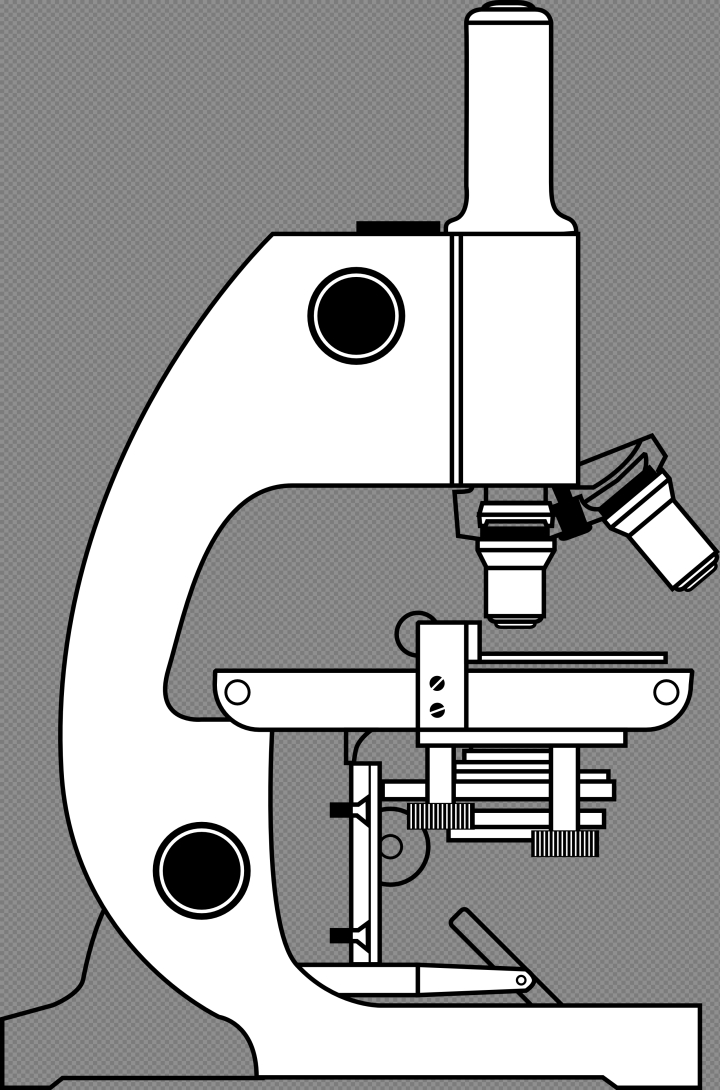 microscope,clip,art,light,compound,library,labeling,free download,png,comdlpng