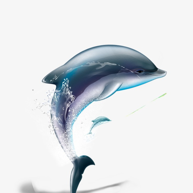 Free: Dolphin, Dolphin Clipart, Water Animals PNG Transparent Clipart ... -  