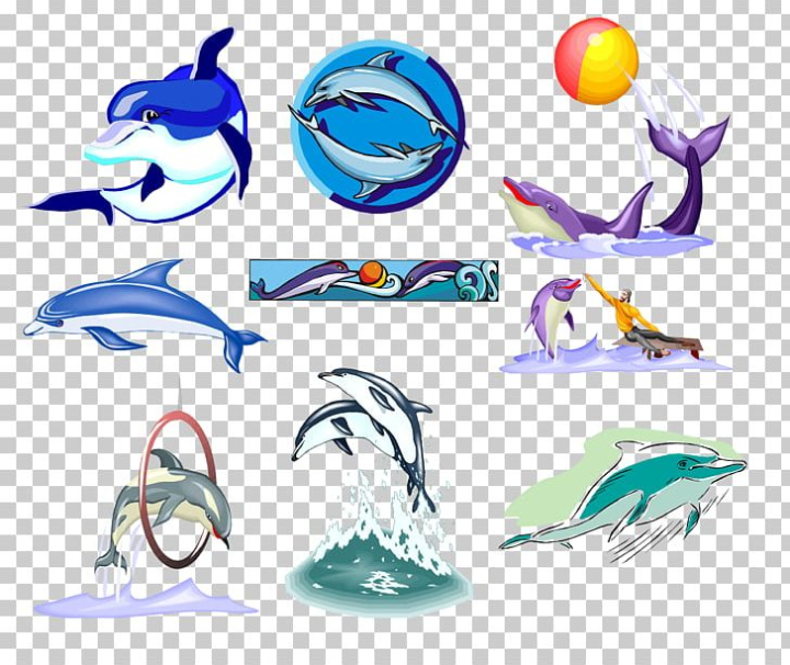 photography,animals,illustrator,dolphin,clipart,adobe,free download,png,comdlpng