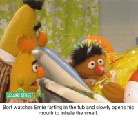 bort,tub,farting,slowly,watches,street,ernie,sesame,free download,png,comdlpng