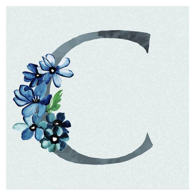 letter,background,blue,theme,watercolor,floral,free download,png,comdlpng