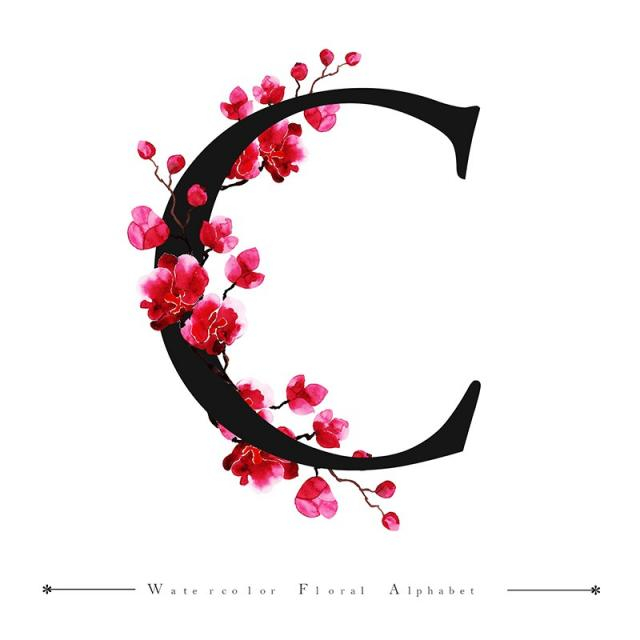 alphabet,letter,background,color,watercolor,floral,free download,png,comdlpng