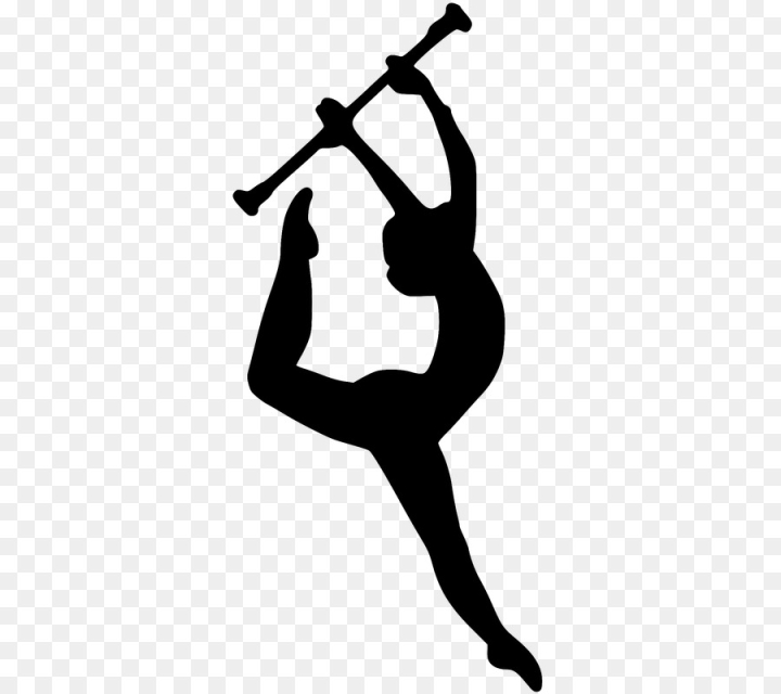 twirling,winter,color,guard,baton,band,marching,colour,free download,png,comdlpng