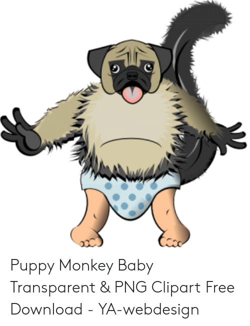 transparent,monkey,ya,baby,puppy,clipart,free download,png,comdlpng