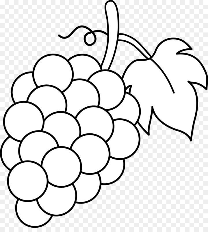 wine,clip,line,vine,art,white,grape,black,common,free download,png,comdlpng