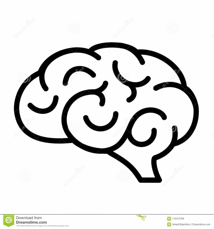 human,intellect,illustration,vector,brain,stock,free download,png,comdlpng