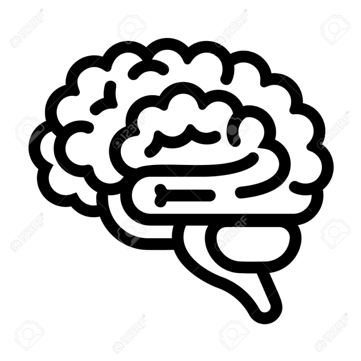 design,brain,web,isolated,outline,vector,free download,png,comdlpng