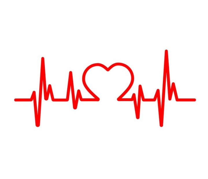 Line illustration of heart and heartbeat Simple drawing vector  illustration Stock Vector  Adobe Stock