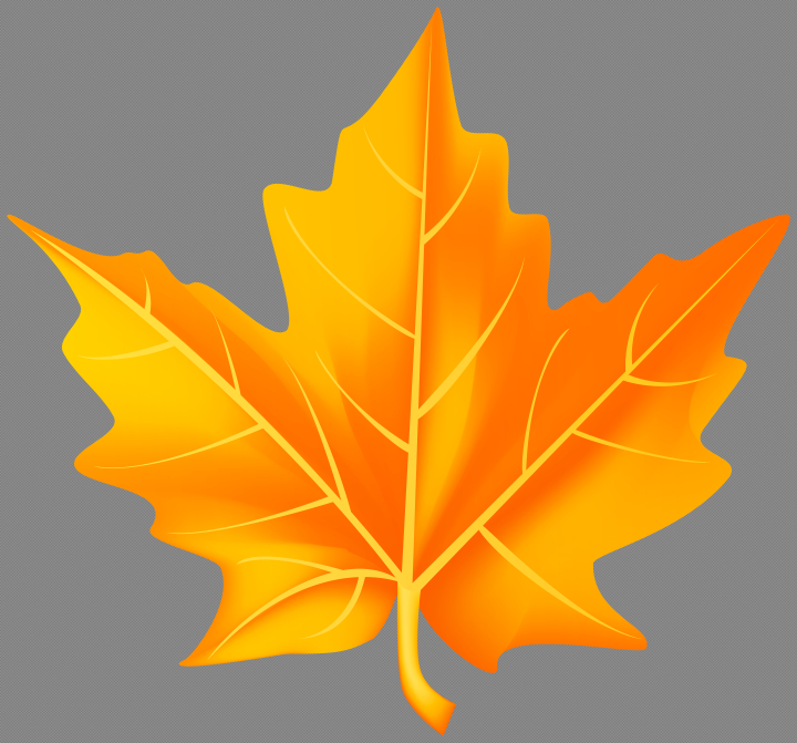 Free: Orange Fall Leaf PNG Clipart