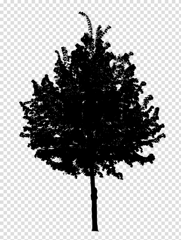 tree,black,simple,free download,png,comdlpng