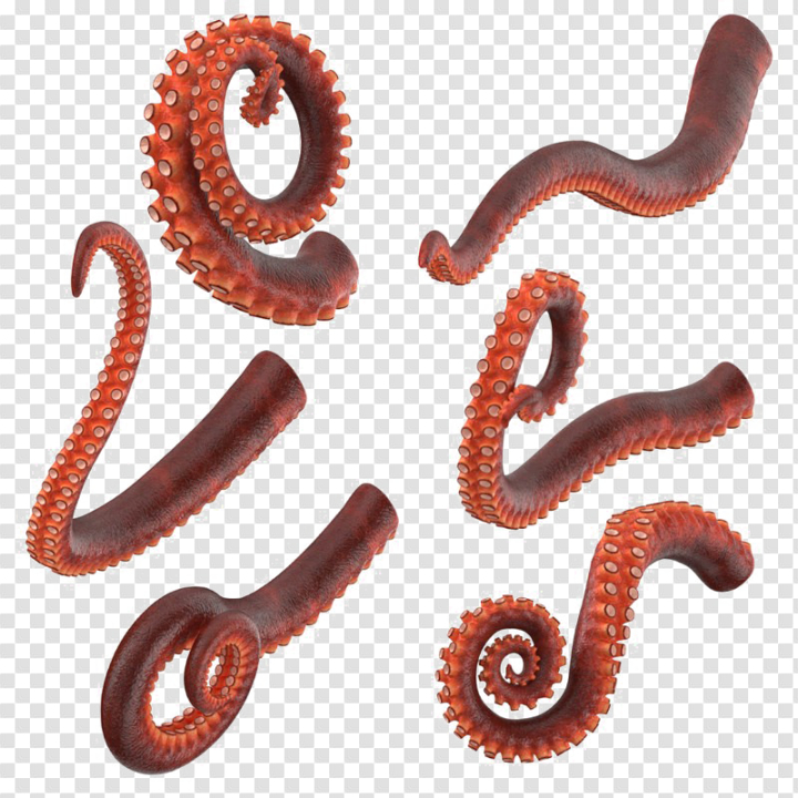 Free: Download Octopus Tentacles HQ Image Free PNG HQ PNG Image