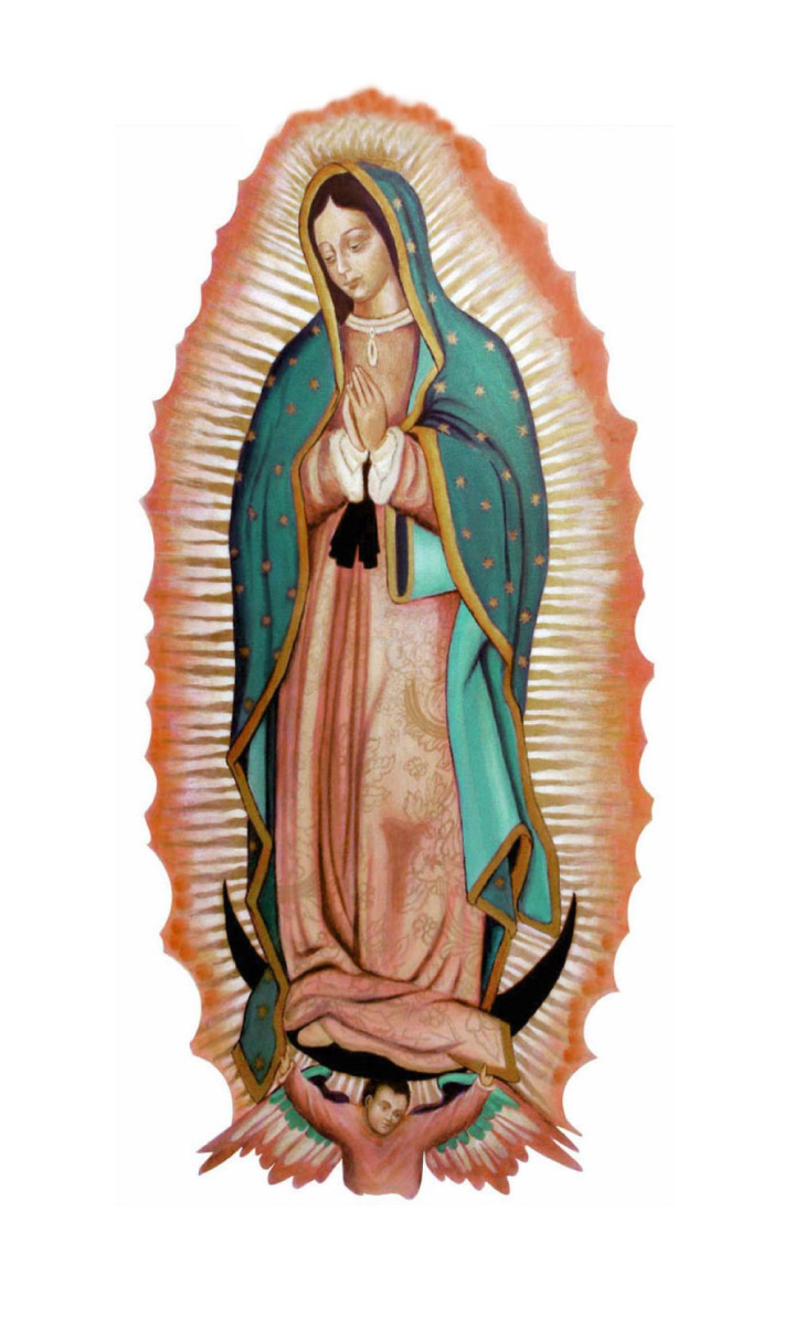 Virgen De Guadalupe Fondo Blanco Contempoarte Im Genes Png Free Transparent Image