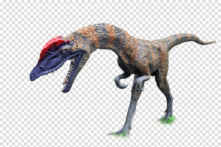 Free Dinosaur Free Png Image Nohat Cc