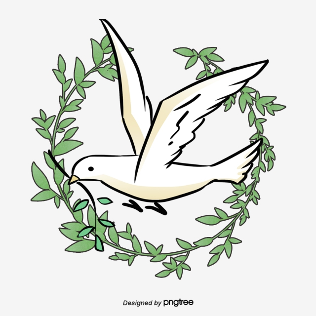 olive,branch,peace,dove,clipart,pigeon,free download,png,comdlpng