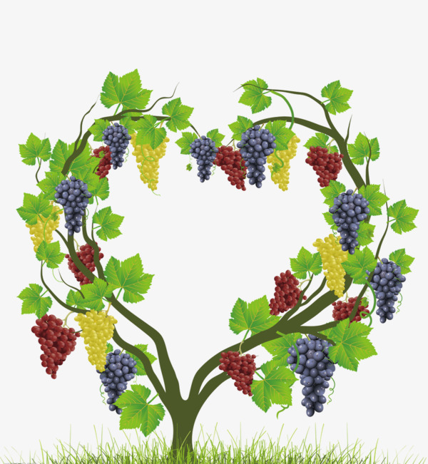 heart,vines,grape,shaped,tree,shaped,free download,png,comdlpng