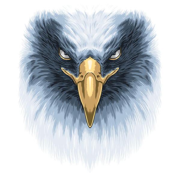 shirt,neatoshop,face,eagle,day,free download,png,comdlpng