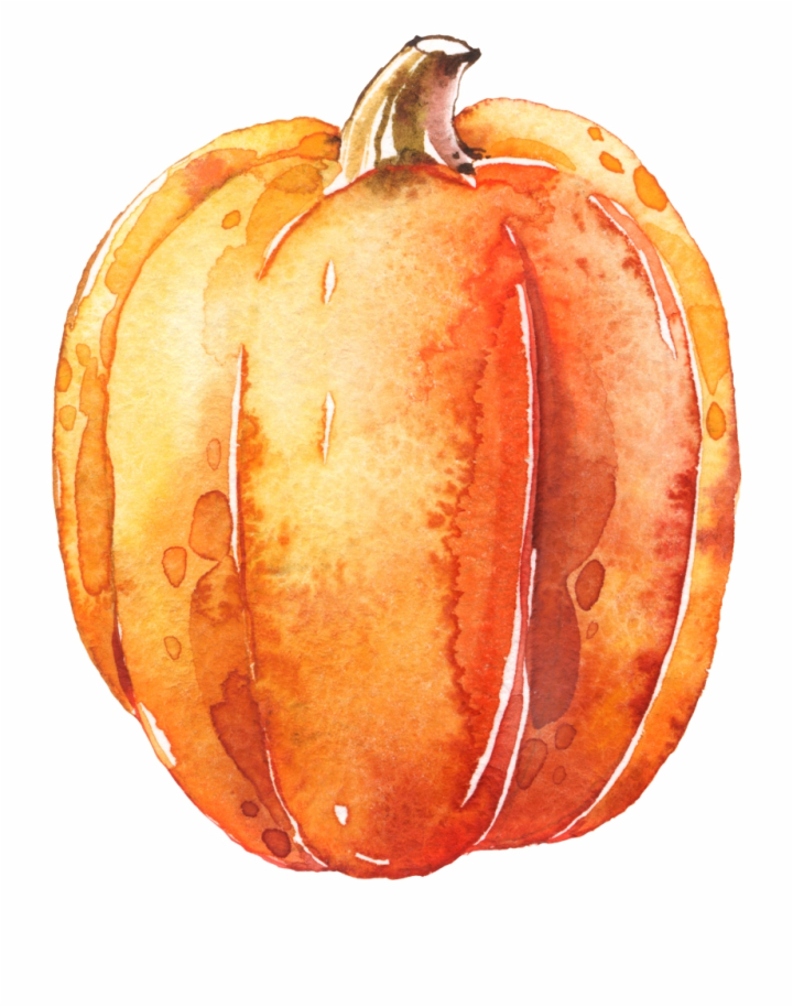 transparent,pumpkin,pumpkins,clipart,watercolor,free download,png,comdlpng