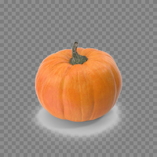 mart,background,pumpkin,patch,free download,png,comdlpng