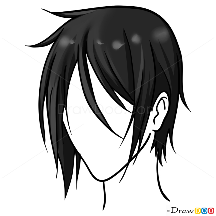 hair,collections,cat,boy,sccpre,free download,png,comdlpng