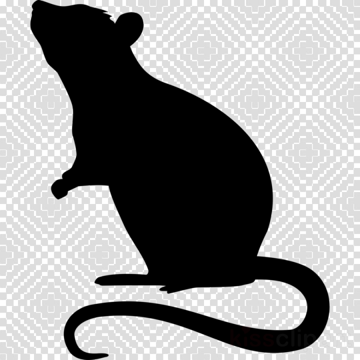 clipart,rat,cat,silhouette,transparent,free download,png,comdlpng