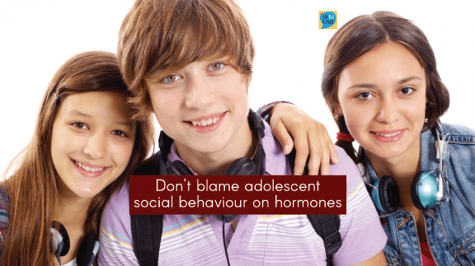 don,social,hormones,blame,adolescent,behaviour,ukedchat,free download,png,comdlpng