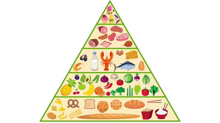 pyramid,motion,nutrition,background,video,animation,storyblocks,food,free download,png,comdlpng