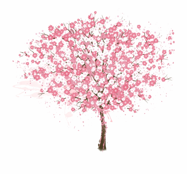 encapsulated,pink,cherry,postscript,tree,blossom,free download,png,comdlpng
