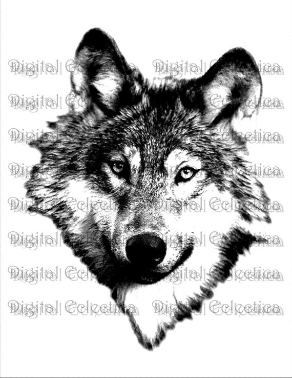 animal,wolf,face,prints,free download,png,comdlpng