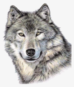 transparent,pngkey,wolf,face,free download,png,comdlpng