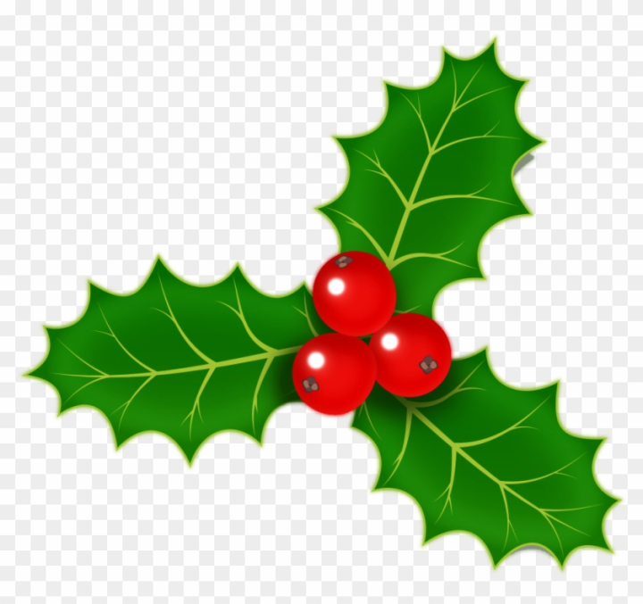 christmas,berries,transparent,berry,holly,clipart,free download,png,comdlpng