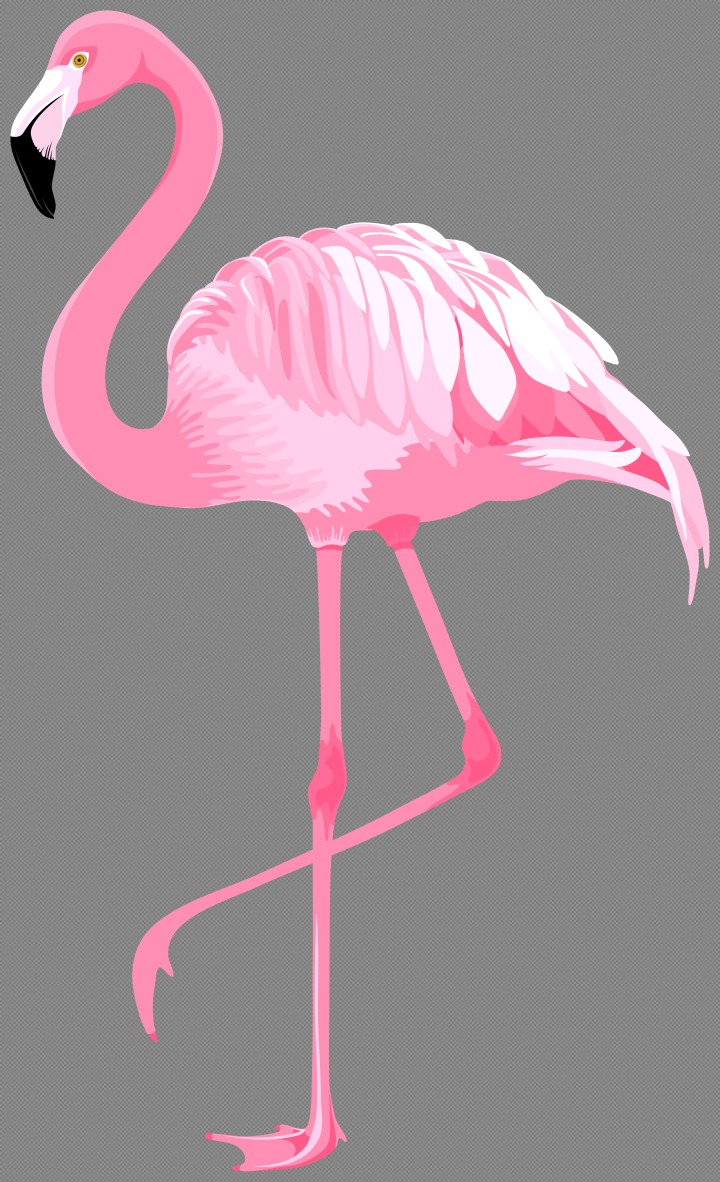Free: Pink Flamingo PNG Clipart  Gallery Yopriceville - High-Quality  