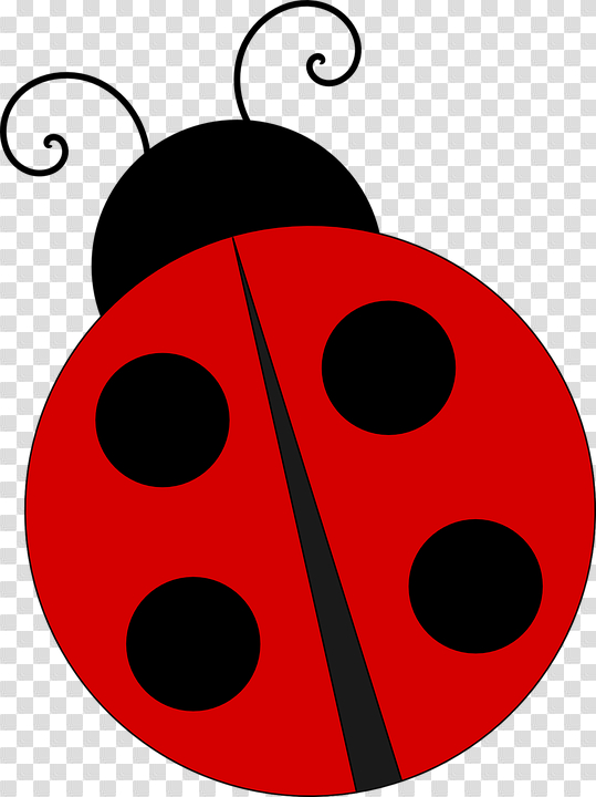 nature,ladybird,ladybug,vector,graphic,pixabay,free download,png,comdlpng
