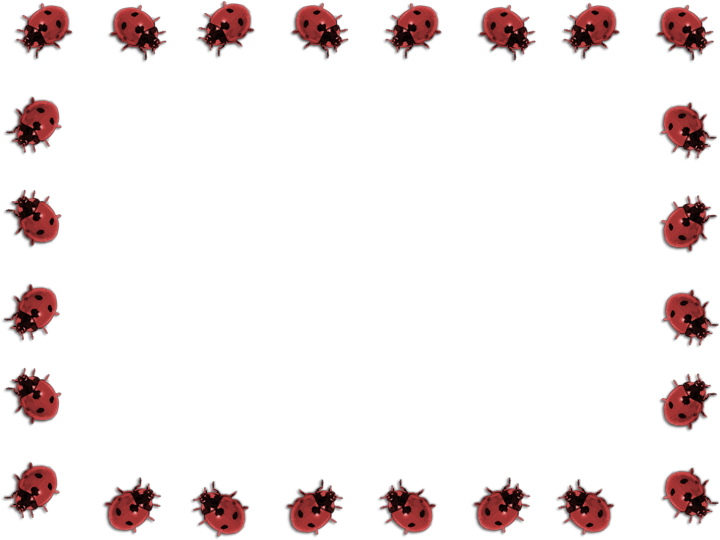clip,art,ladybug,cliparts,borders,free download,png,comdlpng