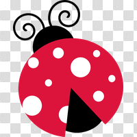 ladybug,clipart,photo,freepngimg,free download,png,comdlpng